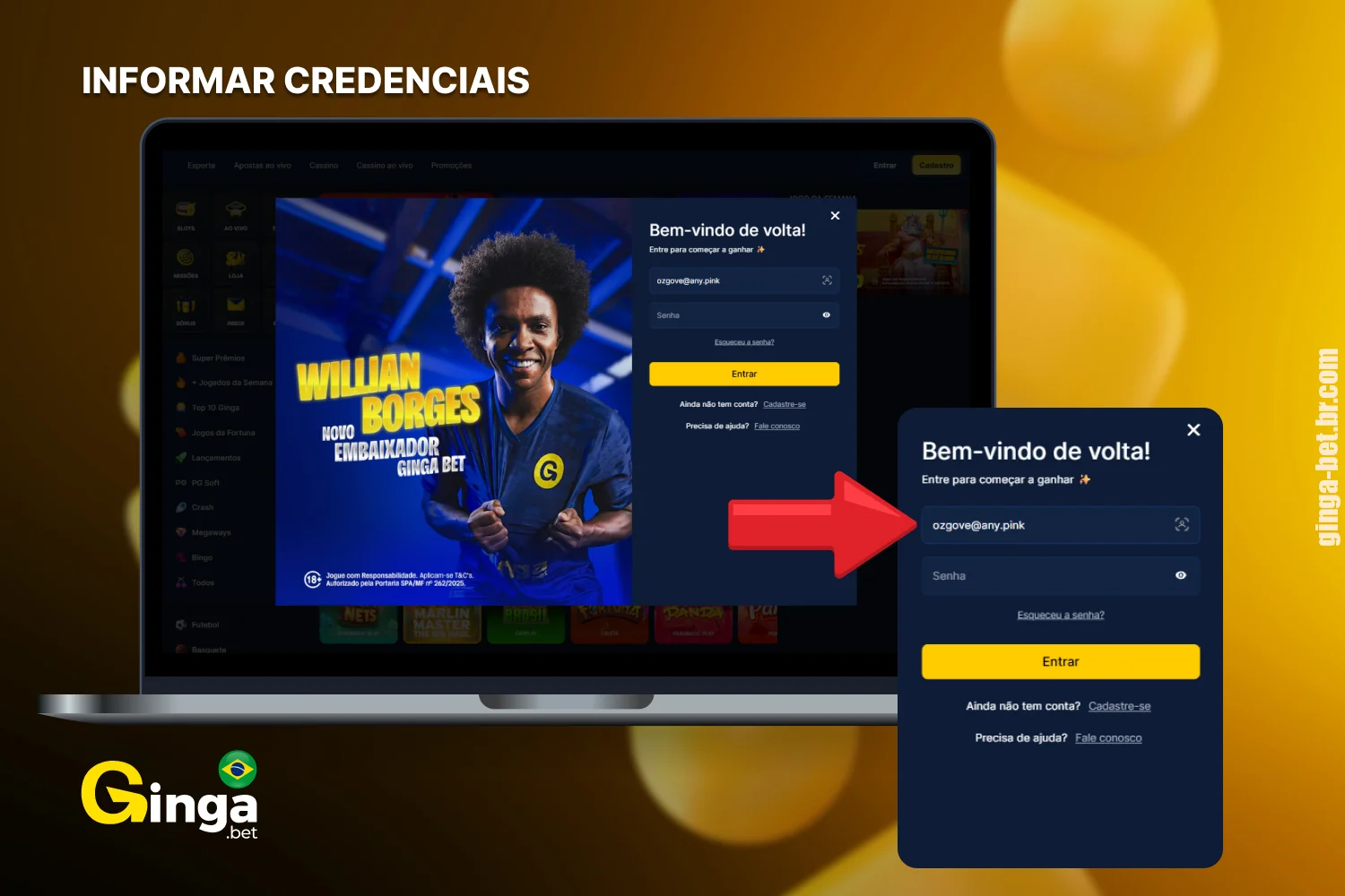 Digite os dados de cadastro fornecidos ao se registrar no Gingabet