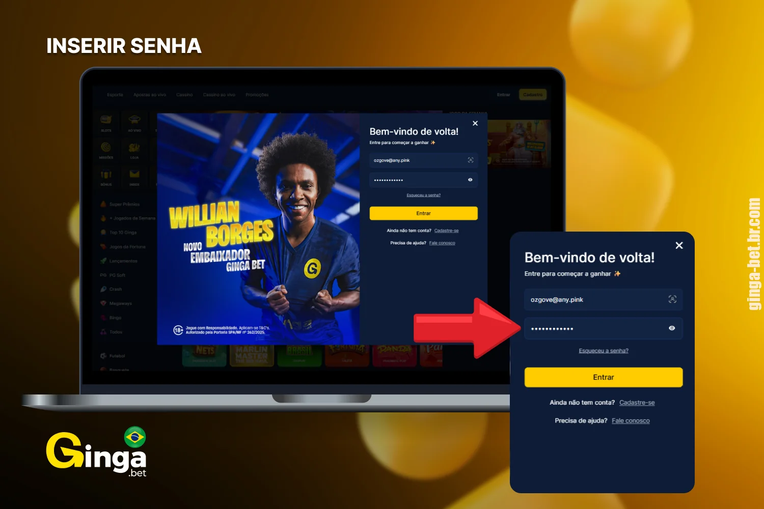 Insira a senha no campo do formulário de login do Gingabet
